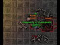 Tibia Calmera Koshei the Deathless EK solo