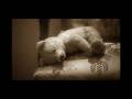 Muhammad ALi Shehki and AfshaN Ahmad-1986 PTV Classic Song,Mere Bachpan Ke Din (Better audio)