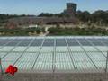 'World's Greenest Museum' Opens in San Francisco