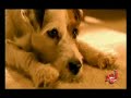 Word Hold On Video Remix dj willy flechas
