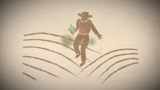 Semillas patentadas: un video para entender de qué se trata