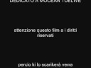 l'incredibile mocean