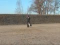Training Heelwork