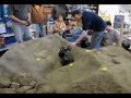 RC Rock Crawler RC Crawler Indoor Crawler Comp - RCSLOT