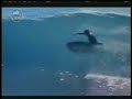 george greenough spoon footage