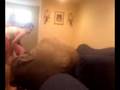 Bean Bag Crazy