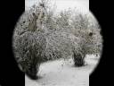 La Prima Nevicata.wmv