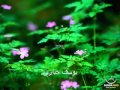 أرسلت بواسطة ahmed في Thu Dec 29 2011 في 06:18pm