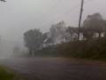 videos de Nov 16 2008 - Damaging storm wind gusts near 130km/h Tamborine QLD
