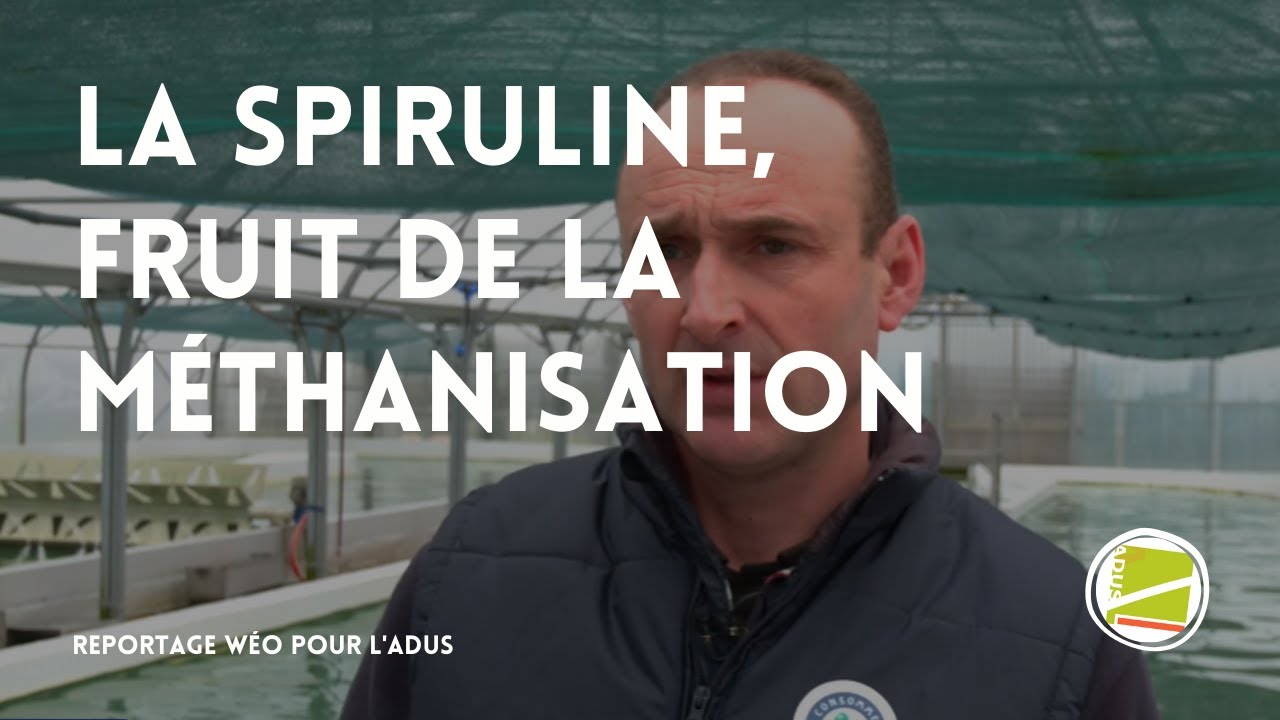 La méthanisation, un exemple de transition écologique - REPORTAGE