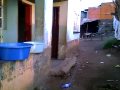Zolani and Sandizso's house