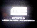 Weiss Global Entertainment logo - Found on VHS copy from TV of Make Room For Daddy - circa 1995