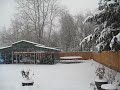 Snow out back Snow out back