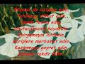 HER?EY? MERAK ETMEY?N-MELEKKIZ