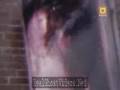 The Pink Lady Ghost