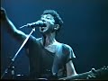 CANTAUTORE  LIVE  1987