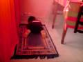 videos de ellah akbar
