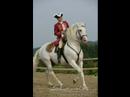 Chevaux Chevaux