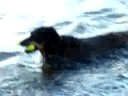 Zoe swimming at Lake Tomahawk