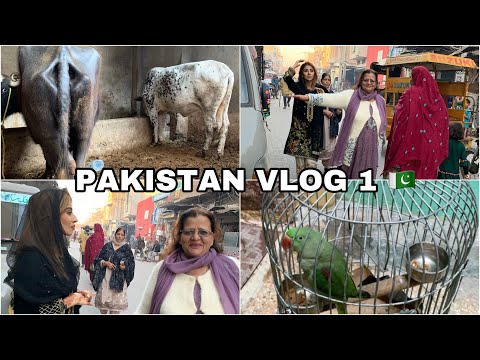 I’M IN PAKISTAN 🇵🇰 | PK VLOG 1 | All Things Anisa