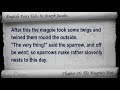 Chapter 36 - English Fairy Tales by Joseph Jacobs
