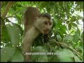 Amazônia é Nossa Amazônia é Nossa