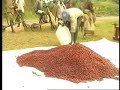 Widows of the Genocide - Rwanda