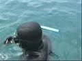 Spearfishing in Algeria4 Spearfishing in Algeria4