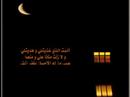 Elaika - Mohammed Obaid