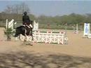 Concours �quitation