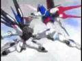kira vs shinn