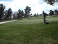 Harnack the amazing