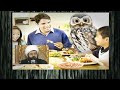 الشيعة وقصة الثور والبومة