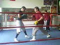 Light Mitts Work2 Light Mitts Work2