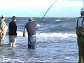 Shark Fishing @ The Point Jan.2007