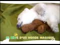 Knut : moi c\
