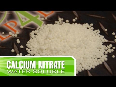 how to fertilize with calcium nitrate