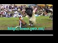 Many Japanese girls -- sword fight -- traditional culture