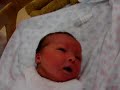 Lily Jessica Vinodolac : Cot