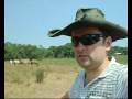 Breeding Horses (Paraguay Part 3)