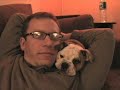 Kate the Bulldog
