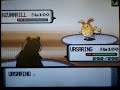 POKEMON D/P WIFI BATTLE 23 vs SASUSKE3692 POKEMON D/P WIFI BATTLE 23 vs SASUSKE3692