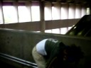 Krump SP-Brasil