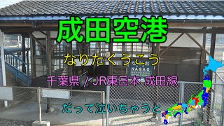 第46作 桜