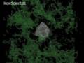 Universe's first stars bulk up in new simulation