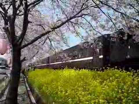 真岡鉄道SL