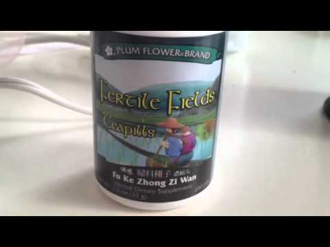 how to fix qi deficiency