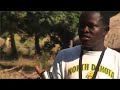African Soul, American Heart: The concept