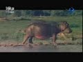 Fountains of the Sun _ ينابيع الشمس 3.wmv