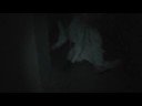 Fearplex Haunted House - L.A. County Fair